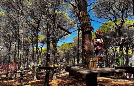 Tavolara View in Santa Lucia - Foto 16