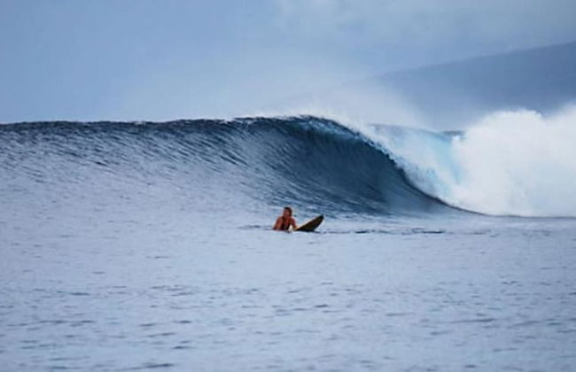Taveuni Palms - Photo 55