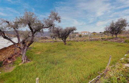 Pomar das Oliveiras - Private Swimming pool - Free EV Chrg - Pet Friendly - Foto 75