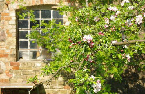 Gutshaus Buberow - Haupthaus - für Seminare & Gruppen - Foto 7
