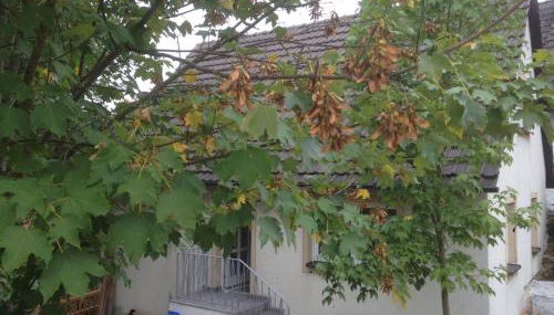 Ferienhaus am Schloss, Haag 127 - Foto 3