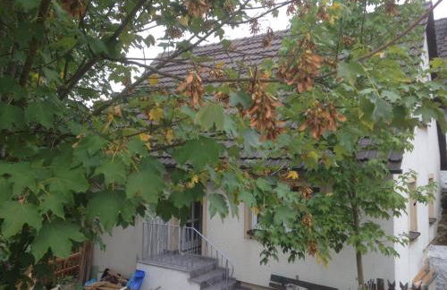 Ferienhaus am Schloss, Haag 127 - Foto 3