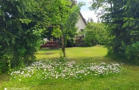 Apartament Leśny - Foto 15