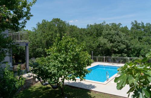 Apartments Srdanovic - Photo 48