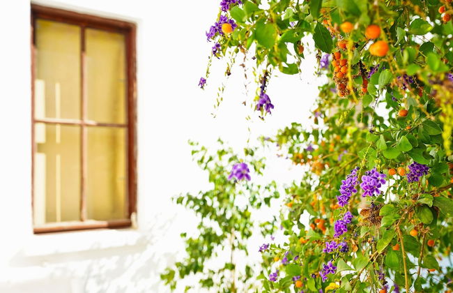 Ertem Apart - Photo 62