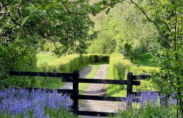 Elm Tree Cottage - Foto 7