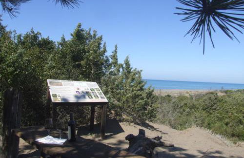 Vacanze Toscane In The Country - Villa Agrifogli - Foto 38