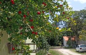 Casa Aconchegante - Foto 24