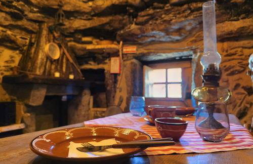 Cardenha das Formiguinhas - Foto 42