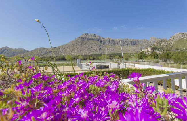 Apartamentos Massol - Foto 31