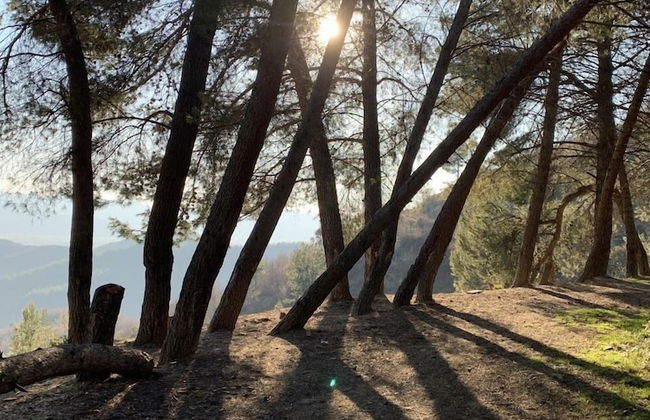 Florenc's Apartment - Foto 40