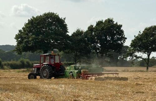 The Retreat - Foto 22