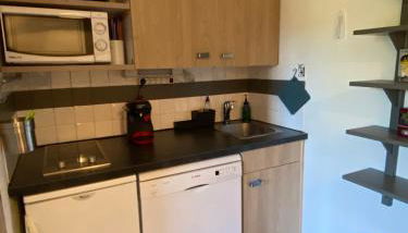 Studio 4 pers à 100m des pistes- Vars les claux - Foto 4, stove, dishwasher, pet friendly, toaster, minibar