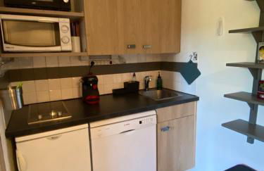 Studio 4 pers à 100m des pistes- Vars les claux - Foto 4