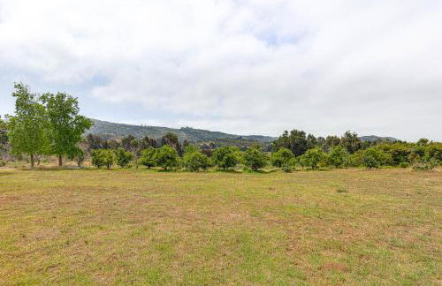 Escondido Vineyard Estate Walk to Wineries! - Foto 34