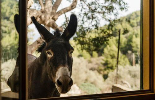 Casa "Tramuntana" - Foto 42