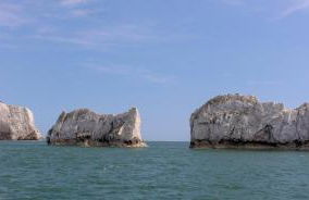 Pier View Apartment at Beach House - Photo 57
