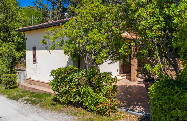 1 bedroom House in Certaldo with swimming pool and garden - Photo 18