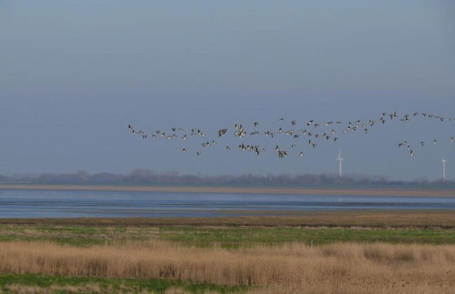 Holiday Home Bruning - Foto 5