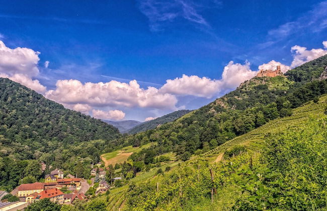 Appart Hotel GLAM88 Suites SPA et SAUNA - Photo 56