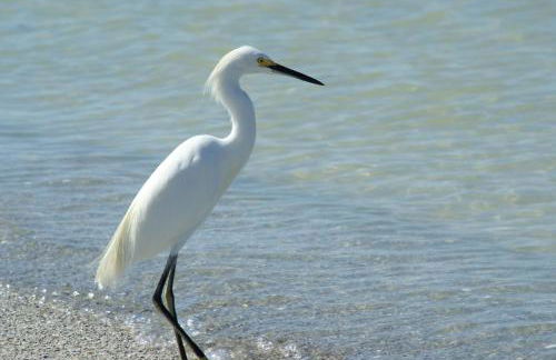 Beautiful condo with pools, spas, tennis and dining - Foto 52