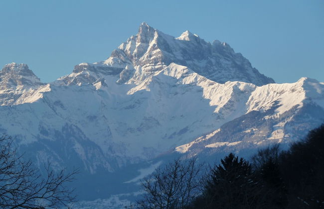 La Petite Grange - Foto 29