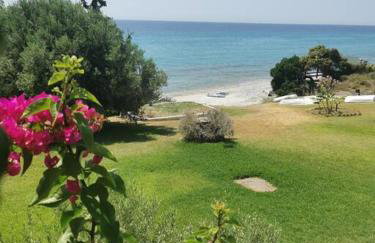 Απέραντο γαλάζιο Le grand blue - Foto 55