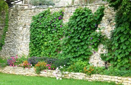 Apartment Milan Istra - Foto 19