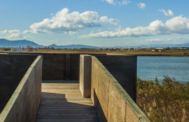 Ebro Delta Bird Watching Tour - Photo 4