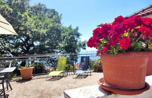 Dubrovnik Moonshine Apartment - Foto 26