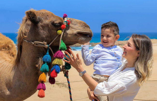 Paseo en camello por el desierto de Los Cabos - Foto 12