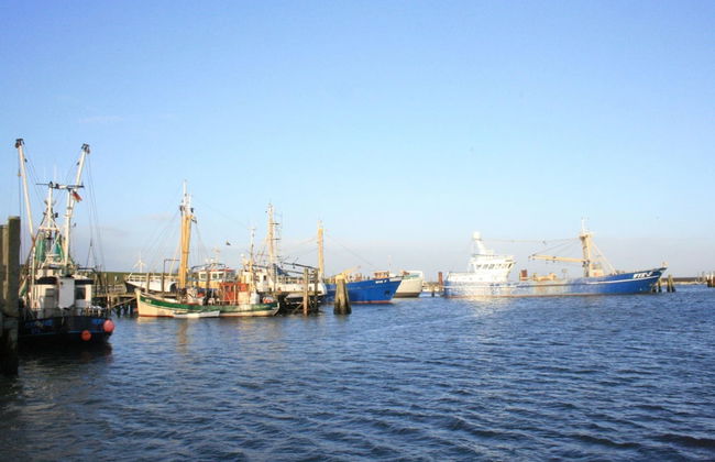 Ferienwohnung in Wyk-boldixum auf Foehr - Foto 27