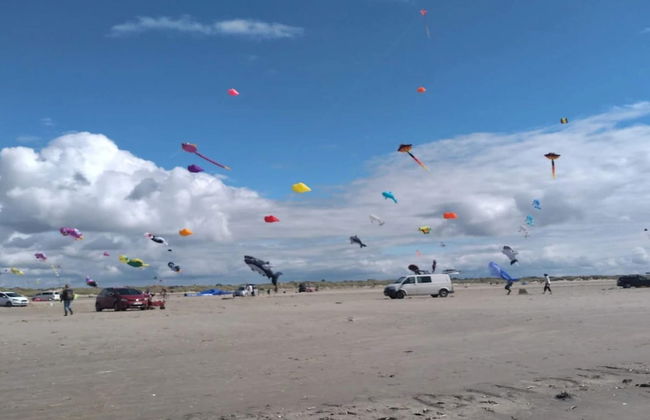 8 Person Holiday Home in Fano - Foto 4