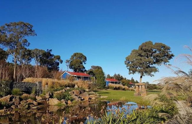 Outlook Hill Vineyard Cottages - Foto 40