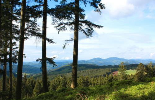 Schlosshof - Der Urlaubsbauernhof - Foto 20