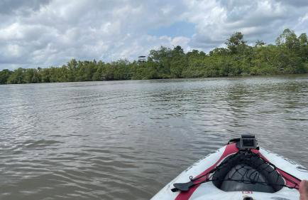 COP30 - Belém - Refúgio perfeito em Benfica-Pará - Photo 3