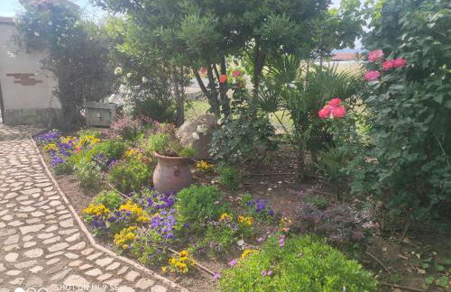 Finca La Calancha - Foto 37