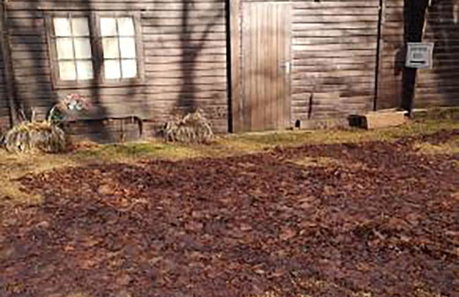 Lily Pad by Paymán Club - Foto 12