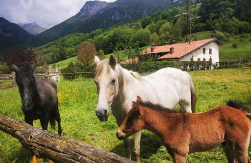 DIMORA SAN LORENZO - Foto 16