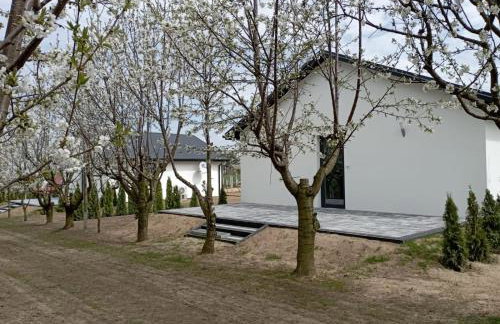 Domki w Winnicy - Świętokrzyska Winnica Knapów - Foto 17