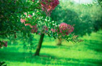 Agriturismo Olistella - Photo 3