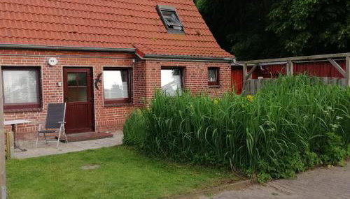 Windstärke 9.1 - Foto 3