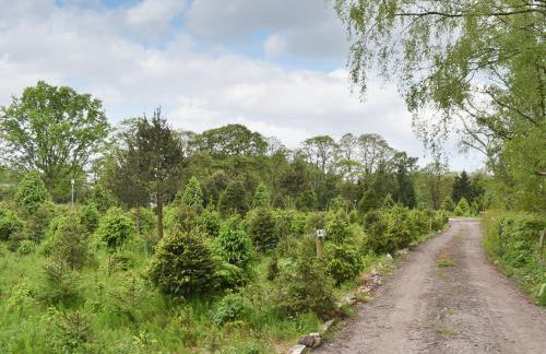 Spruce Shepherd's Hut - Foto 15