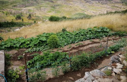 Quinta do Chãozinho - Photo 34