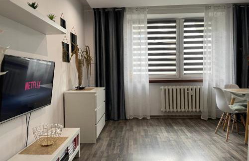 Apartament Gospodarcza - Foto 25