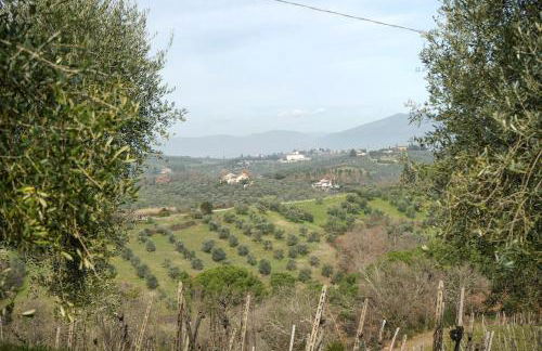 Olive Tree Apartment - Foto 19