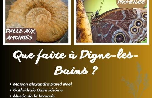 Idéal long séjour, Souvenirs de Provence,T2 classé, vue sur les montagnes, toutes commodités! - Foto 47