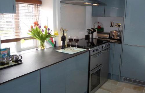 Foxes Reach - nrTintern Wye Valley hot tub EV - Foto 13