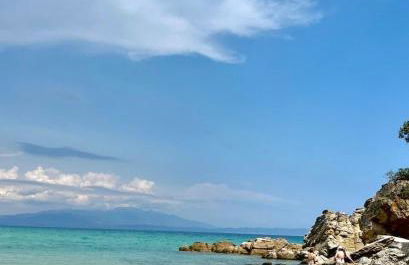 Irdis Garden - Foto 14