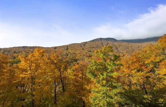 1325 Studio @ The Lodge at Spruce Peak - Photo 19